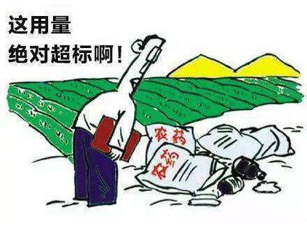 果蔬農藥殘留檢測儀 果蔬農藥殘留檢測儀